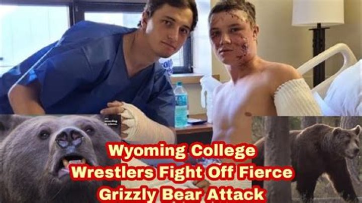 
Grizzly bear launches frightening attack on 2 Wyoming college wrestlers 